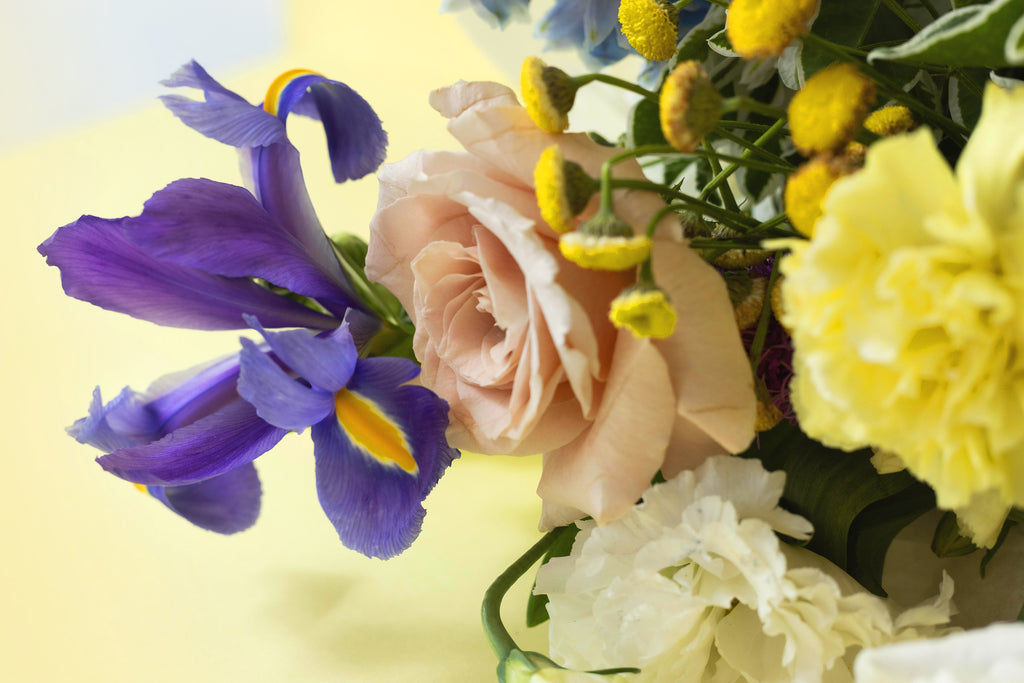 Springtime Detalle
